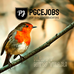 Happy New Year from PGCE Jobs robin red breast winter tree seasons greetings